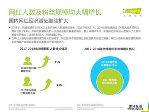 2018年中國網(wǎng)紅經(jīng)濟(jì)發(fā)展研究報(bào)告 網(wǎng)絡(luò)技術(shù)開發(fā)與信息咨詢的驅(qū)動力量